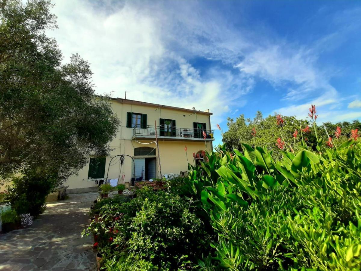 Villa Very II Marina di Campo Room photo